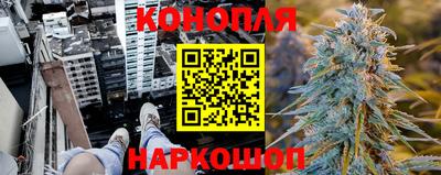 бошки Новодвинск
