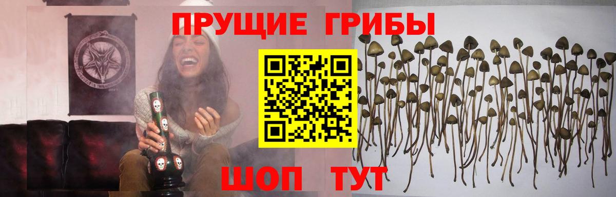 Галлюциногенные грибы мицелий Тихорецк
